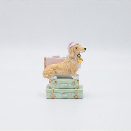 EUROLAMP ΣΤΟΛΙΔΙ ΠΟΛΥΡΕΖΙΝ, ΣΚΥΛΑΚΙ ΣΕ ΒΑΛΙΤΣΑ, ΠΑΛ ΧΡΩΜΑ, 6x10cm (600-46920)