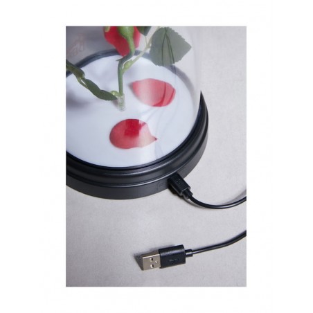 PALADONE ΠΑΙΔΙΚΟ ΔΙΑΚΟΣΜΗΤΙΚΟ ΑΦΗΣ BEAUTY AND THE BEAST ENCHANTED ROSE 20ΕΚ.