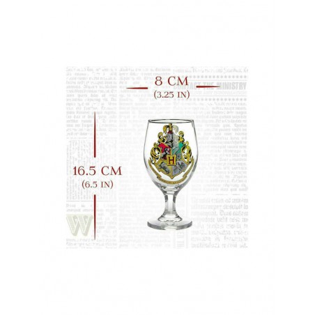 PALADONE HOGWARDS -HARRY POTTER ΠΟΤΗΡΙ ΝΕΡΟΥ ΑΠΟ ΓΥΑΛΙ